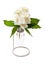 Light bulb vase with jasmine flowers on a decorative stand made of wire, isolated on white background