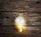 Light bulb on the wood wall, business concept