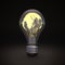 Light bulb - World Idea