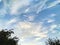 Light cirrus clouds on the blue sky, tree branches