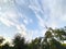 Light cirrus clouds on the blue sky, tree branches