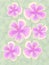 light colors hibiscus flowers illustration