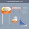 A Light Dependent Resistor. Show constructional inside of photoconductor and Working principle sample for use explain the