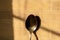 Light falling on a steel metal spool resting against a tiled wall of a house