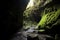 light filtering through crevices onto mossy cave floor