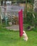 A light ginger cat sniffing a red blanket hanging on a washing line in a garden