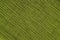 Light green crinkled fabric background texture