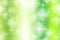 Light Green Magical Fantasy Abstract Background