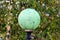 Light green marble like texture round street lamp mounted on metal pole on fresh green leaves background