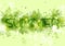 Light green shiny summer leaves abstract background
