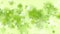 Light green shiny summer leaves abstract video animation