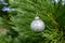 Light green textured green glass ball Christmas ornament hanging on the branch of a live cedar tree outdoors