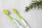 Light green toothbrushes and rosemary on white terry towel, flat lay