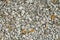 Light grey gravel (Pebble) floor texture, top view, Pebbles back