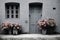 Light grey walls of building and narrow front door of house