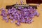light guitar lilac flowers on strings and kids