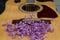 light guitar lilac flowers on strings and kids
