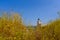 Light house of the Castle of Ayia Mavra at Lefkada