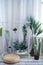 Light interior in the style of minimalism with white walls, curtains and floor. Lots of green plants and cacti.The green