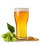 Light Ipa beer in glass with branch hops cones and wheat ears isolated on white background