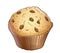 Light muffin with choc chip