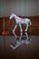 Light Musical Horse Toy Birthday Gift Without Battery White . EahiBaby Glowing Horse Figurine Walking Toy