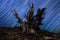 Light Painted Landscape of Stars in Bristlecone Pines