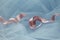 Light Pink Curled Satin Ribbon on Blue Background