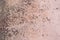 Light pink paint peeling off from the surface of the old metallic texture grunge steel background obsolete messy