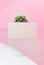 Light pink rectangle on pink background vertical with cactus