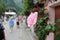 Light pink rose in a street in halstatt Austria