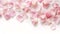 Light pink soft rose petals. Flower blooming romantic love decoration. White background delicate color rose flowering
