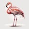 Light pink and white colored flamingo realistic looking illustration