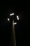 A light pole with four large lights illuminating the many bugs that are attracted by the lights