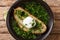 Light portuguese green soup Acorda with poached bread and egg close-up in a plate. horizontal top view