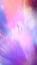 Light and rainbow prismatic magic. Prism shine. Purple pink gold glowing. Abstract festive background