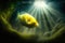 light rays illuminating yellow bulbfin greenfish in pond, aquarium fish in space