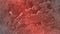Light red Abstract texture blur shed 3 d vector background wallpaper