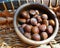 Light in roasted Chestnut in wooden bowl