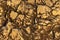 light rock brown splash texture background