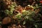 LIGHT ON SEEDLINGS SPROUTING ON COMPOST HEAP