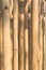 Light and shadow on dry bamboo texture exactly vertical straight fence