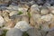 Light and shadow in a forest glade with large stones. Natural structural background