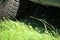 Light and shadow - grass under the car covered by mud with detail of offroad tire