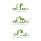 light and simple olive oil logo with doodle lettering composition