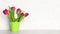 Light spring widescreen background. Red and white tulip flower bouquet on table near wall. Copy space