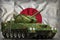 Light tank apc with summer camouflage on the Japan national flag background. 3d Illustration