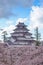 Light up at Tsuruga Castle (Aizu castle) surrounded by hundreds of sakura trees