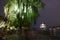 A light up Weeping Willow tree and pagoda over Westlake