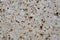 light wall, slab of sawn shell rock with a fine texture of pebbles, pits, part of building, beautiful vintage texture, brown